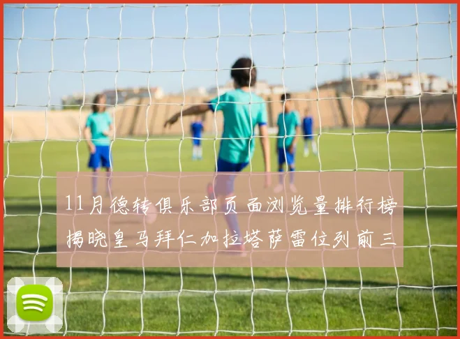 11月德转俱乐部页面浏览量排行榜揭晓皇马拜仁加拉塔萨雷位列前三